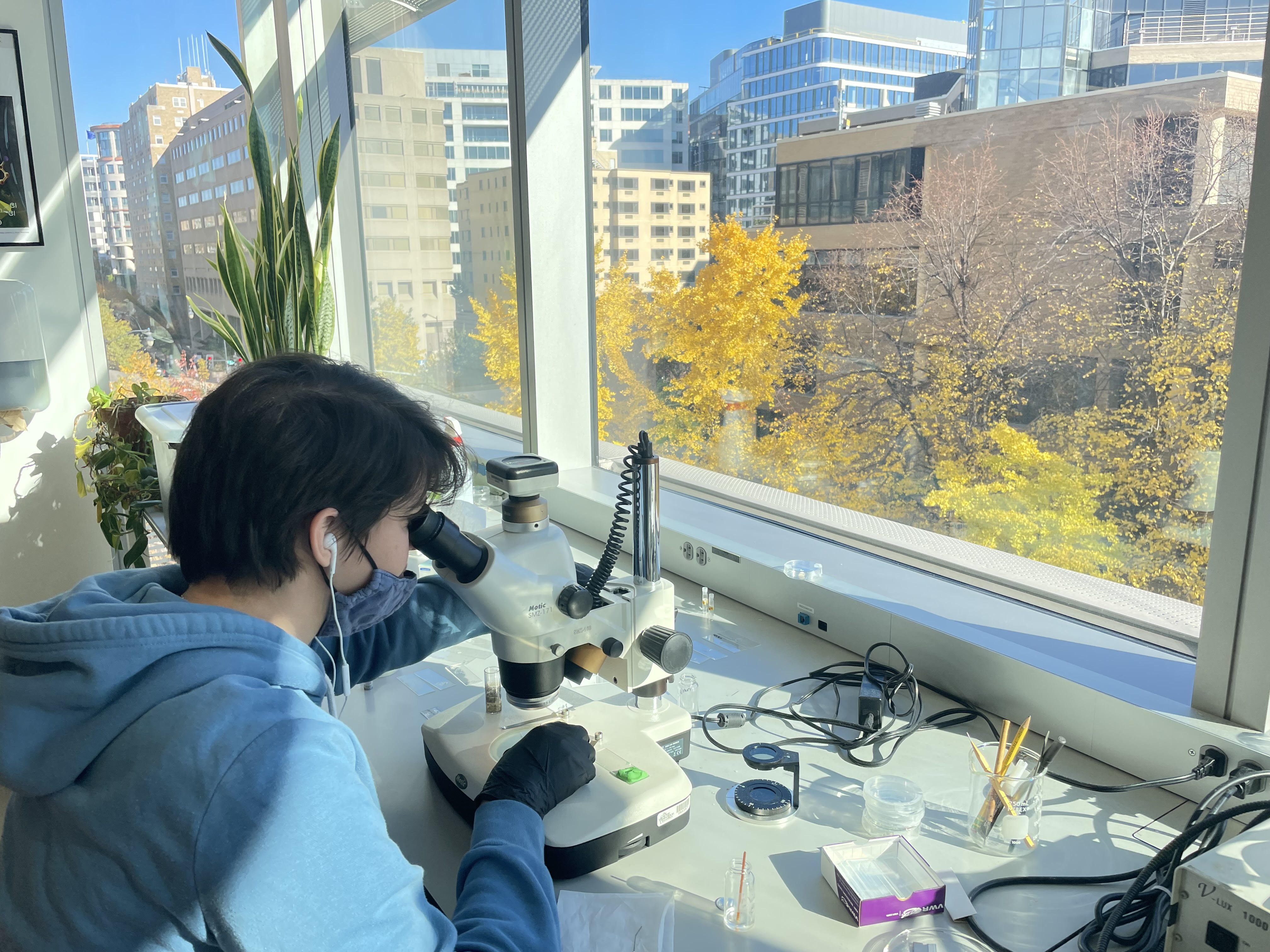 graduate student looking through microscope in the lab in front of a window that has the city sky line with autumn trees