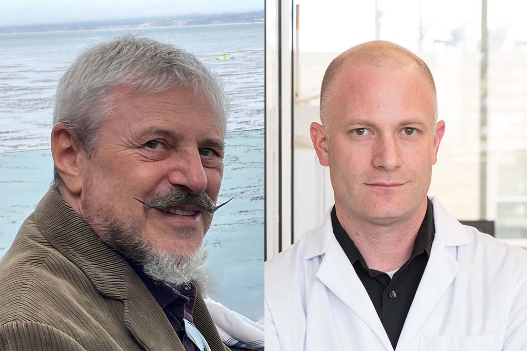 Professor Vertes and Professor Sherwood