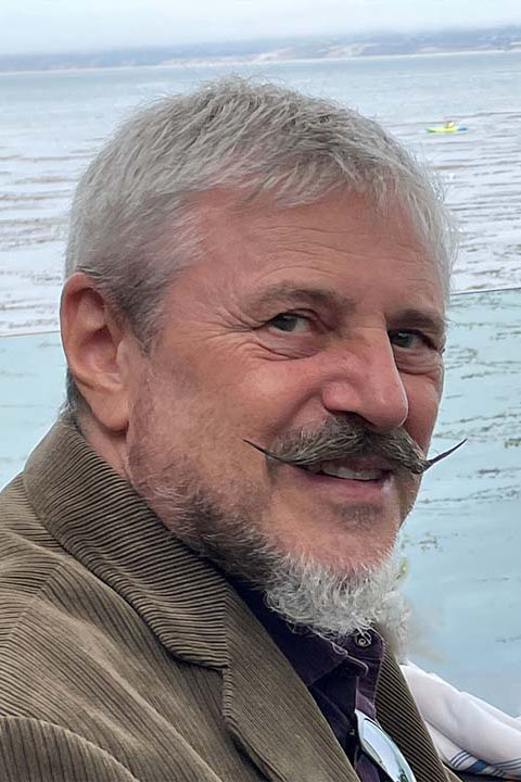 Professor Akos Vertes