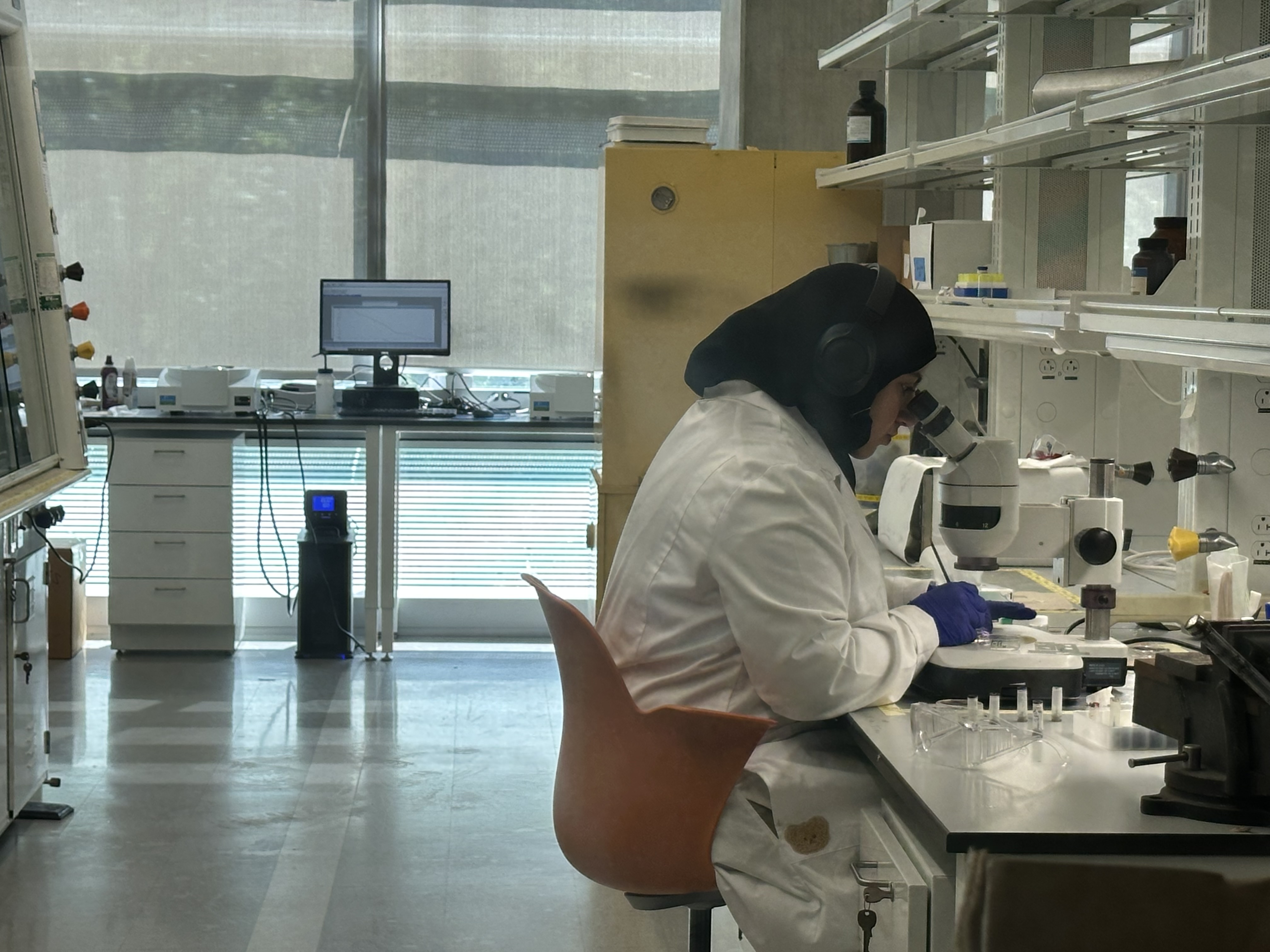Graduate student is leaning over a microscope
