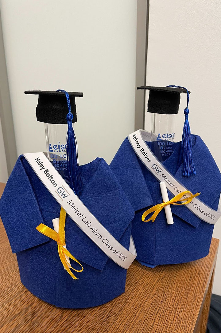 Two sets of graduation robes, caps and tassels arranged on a table