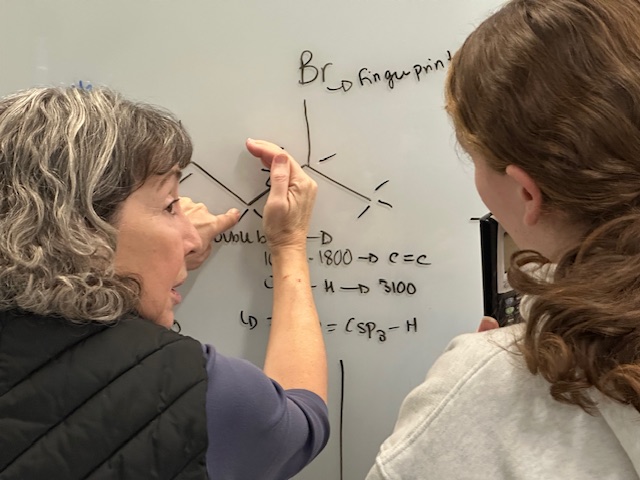 Prof. Clements helping a student solve a problem
