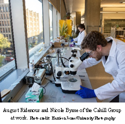 August Ridenour and Nicole Byrne of the Cahill Group at work. Photo Credit: Harrison Jones/University Photography