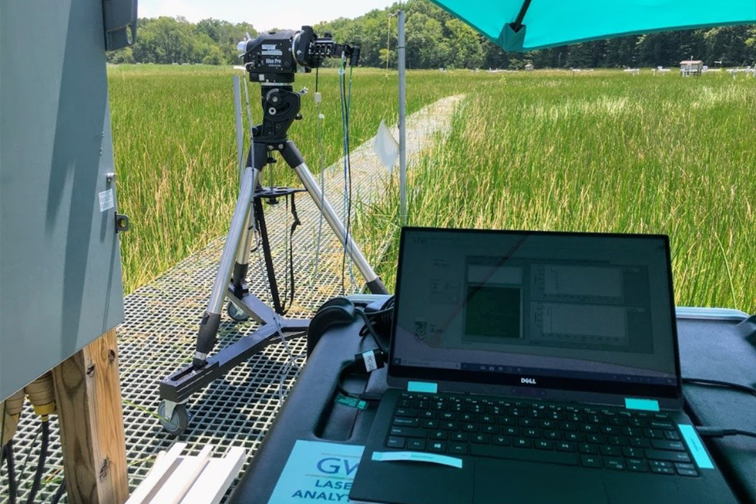 Miller Lab field work