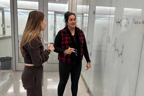Dr. Vanessa dos Reis Falcao standing at a whiteboard at office hours with a student