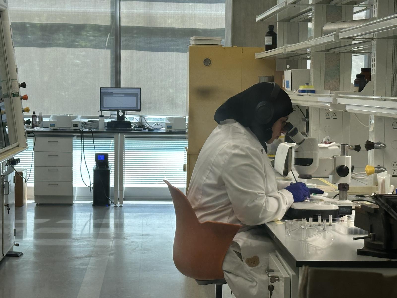 Graduate student is leaning over a microscope